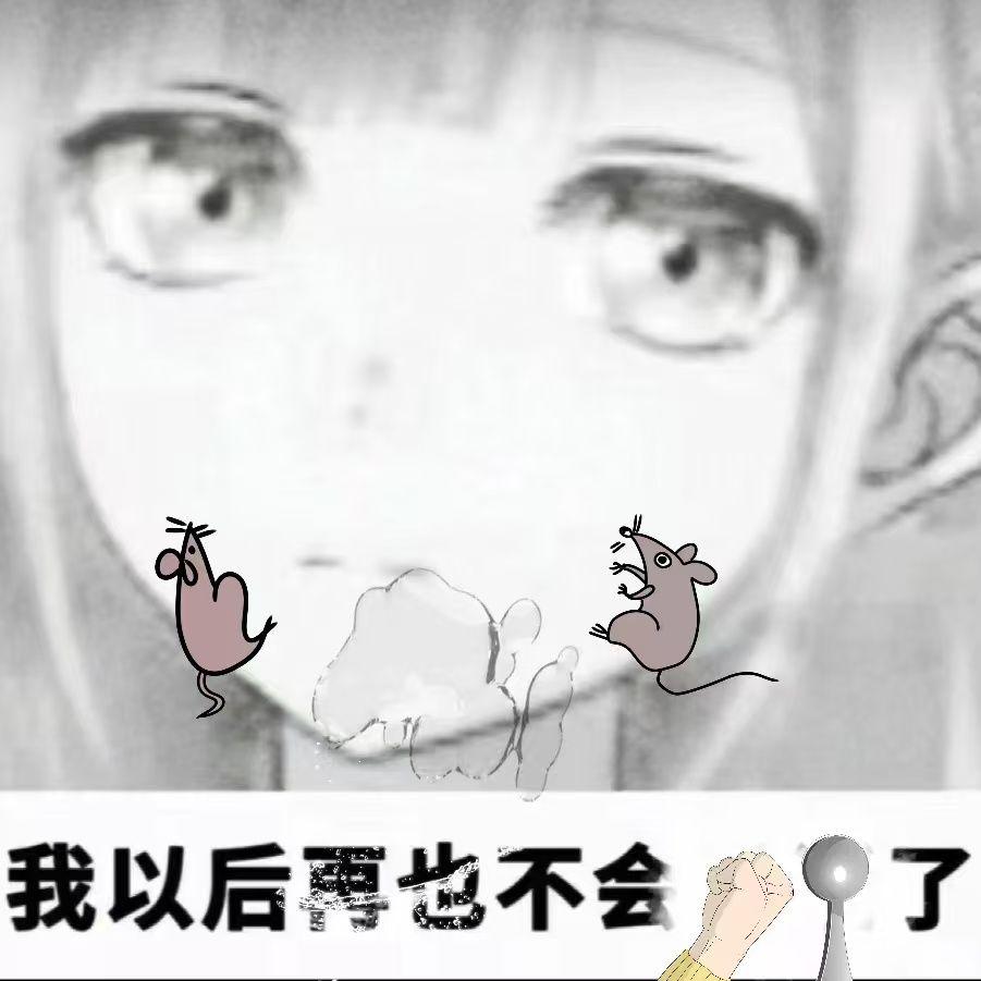 下水道老鼠封面