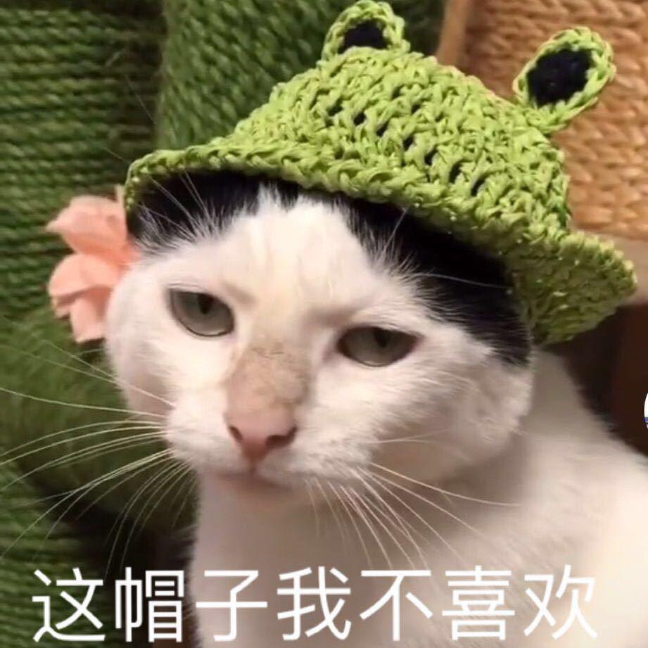 眼泪笑了封面