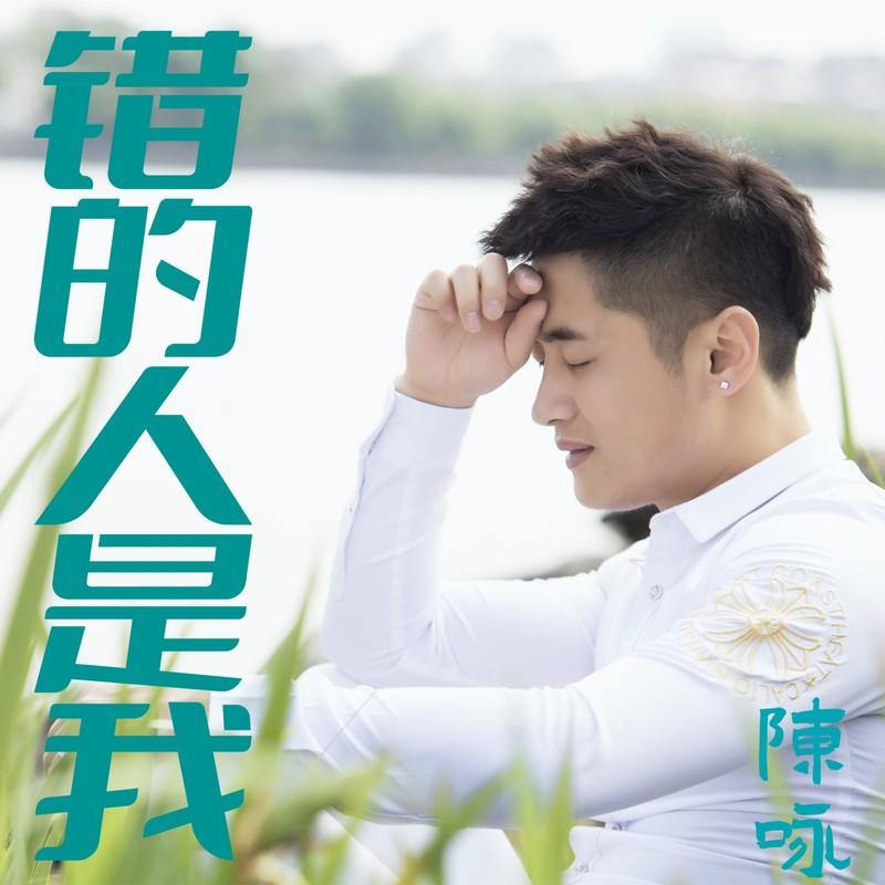 错的人是我 (伴奏)封面