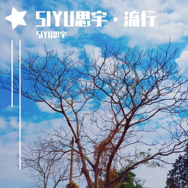 格斗场 - SIYU思宇封面