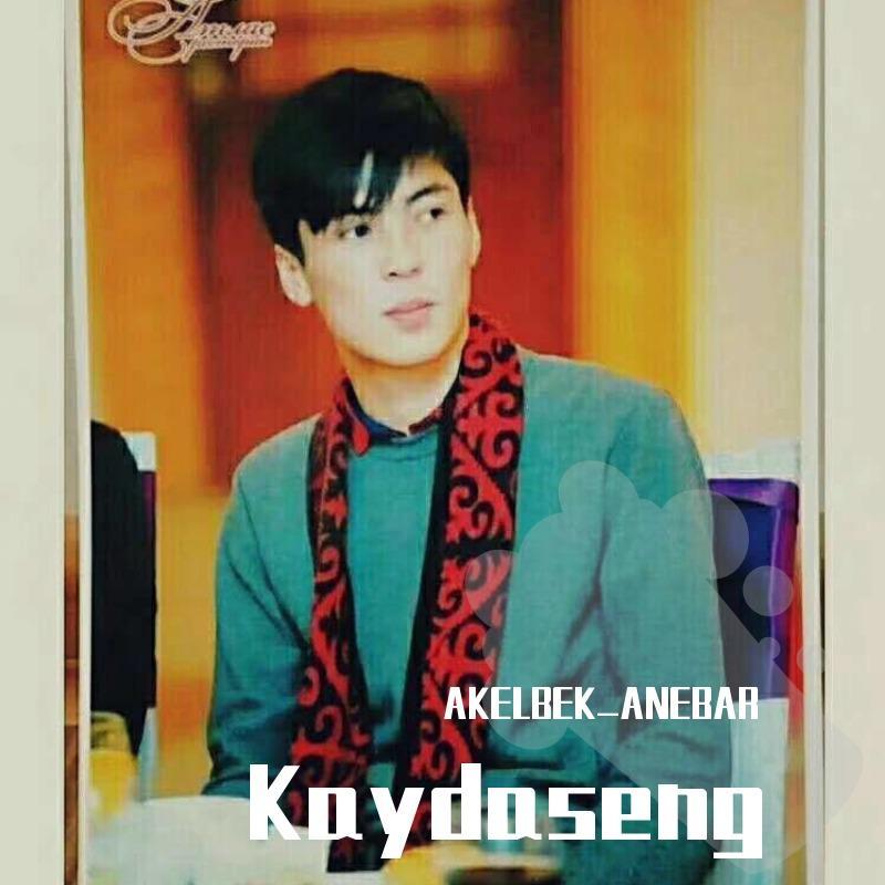 Kaydaseng封面