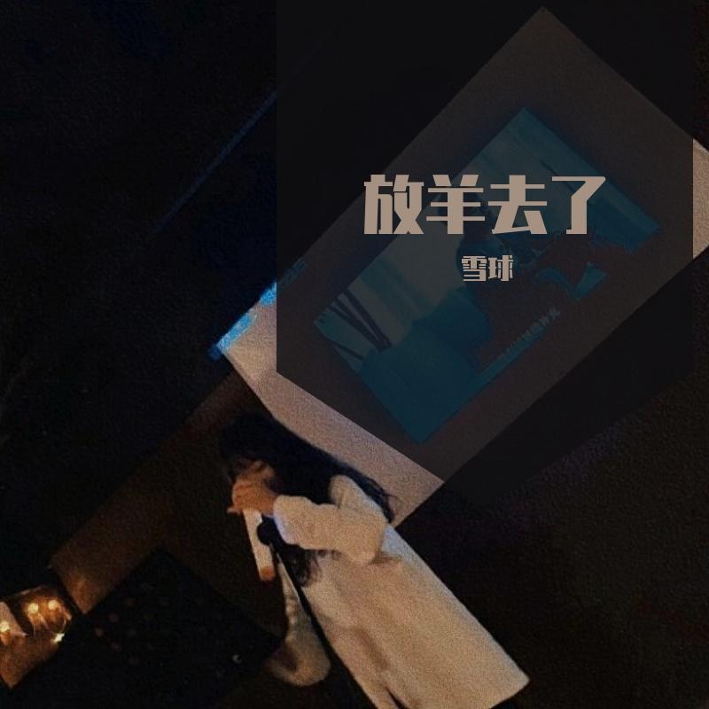 不知归期的故人封面