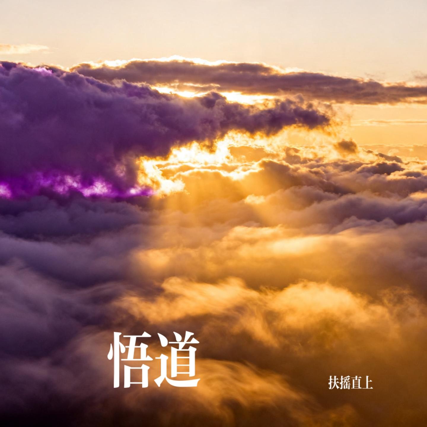 悟道封面