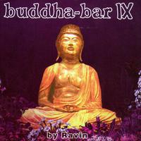 Buddha Bar IX