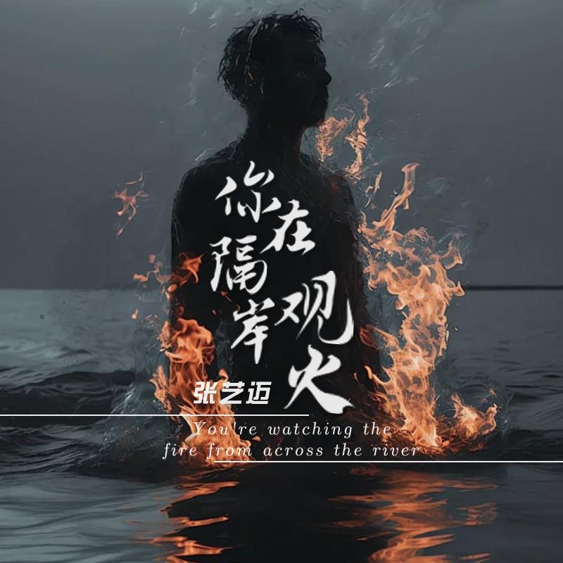 你在隔岸观火 (伴奏)封面