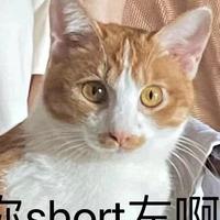 ligogo