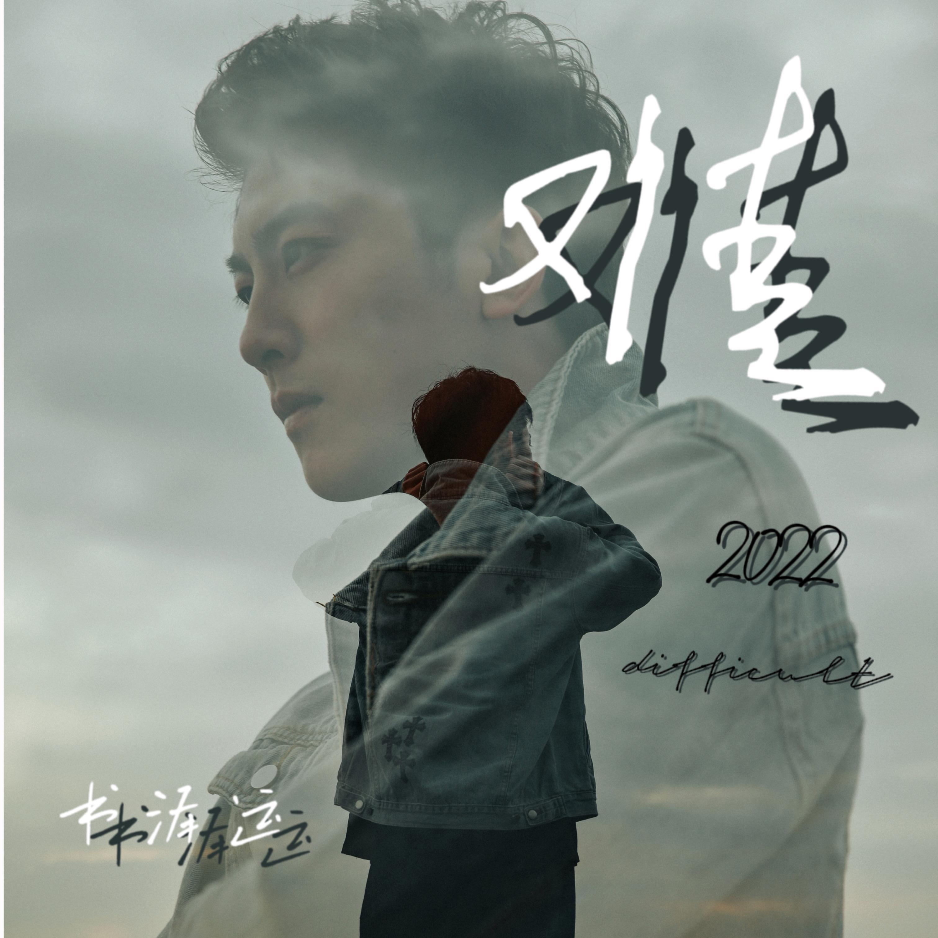 难 - 书泽运 - 单曲 - 网易云音乐
