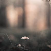 Meditação Yoga - Rapsodia De Aguas Calmantes