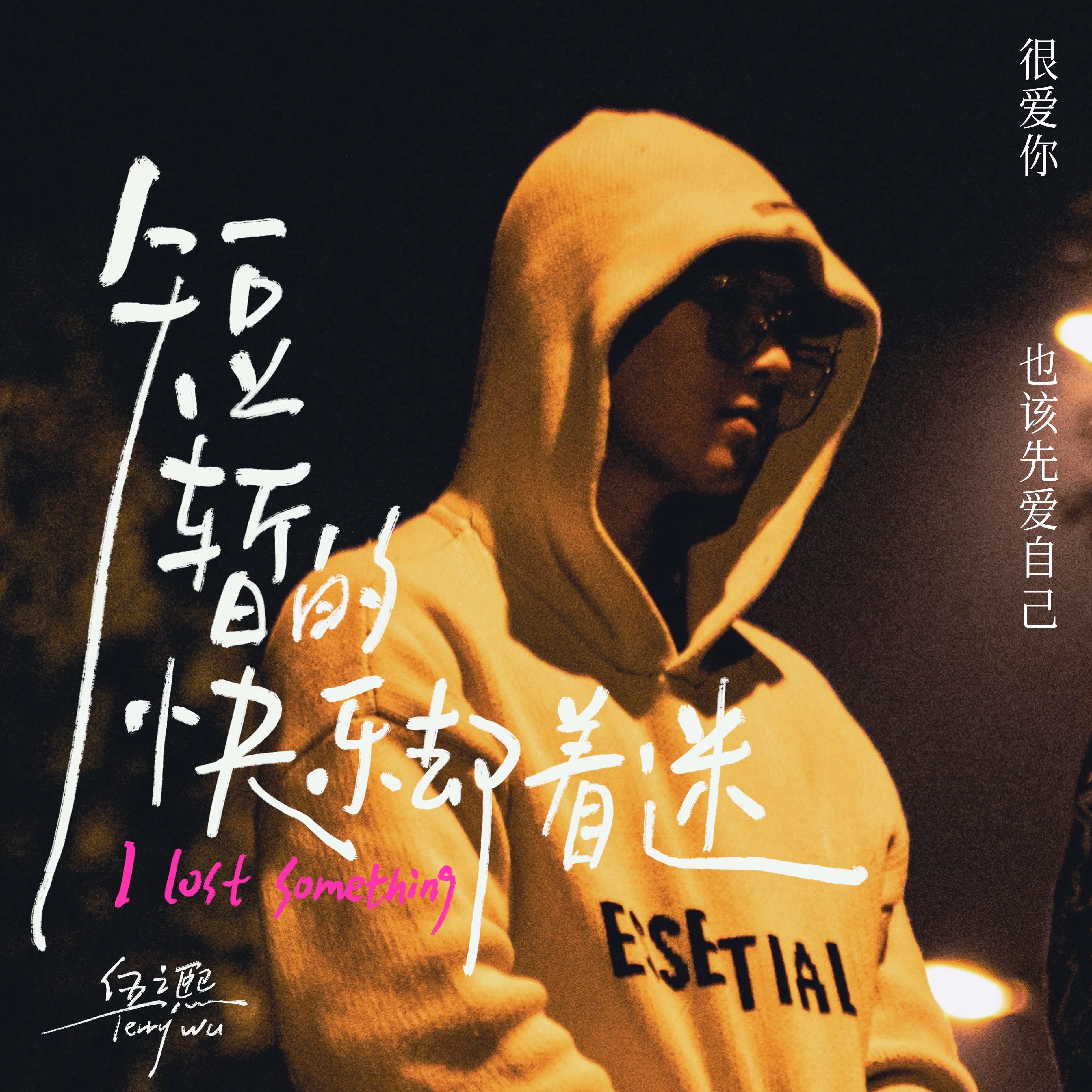 短暂的快乐却着迷封面