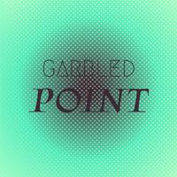 Garbled Point