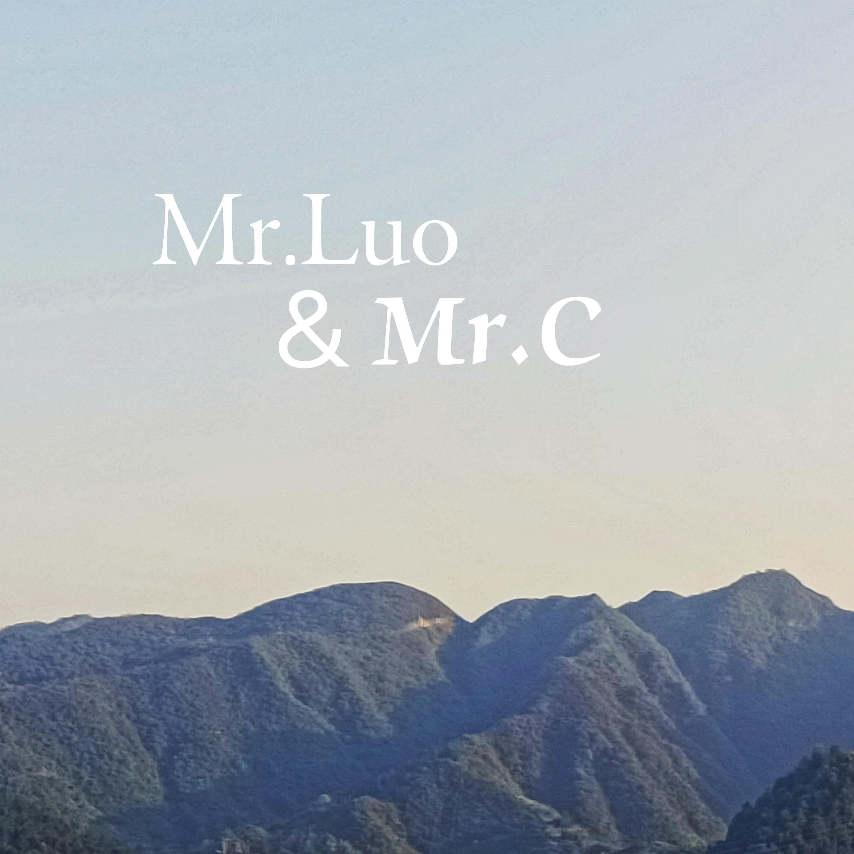 出山（DJ版）_Mr.Luo_L&C | 在线播放_出山（DJ版）歌词_出山（DJ版）下载 | 网易云音乐