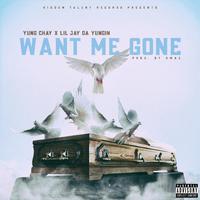 Want Me Gone (feat. Lil Jay Da Yungin)