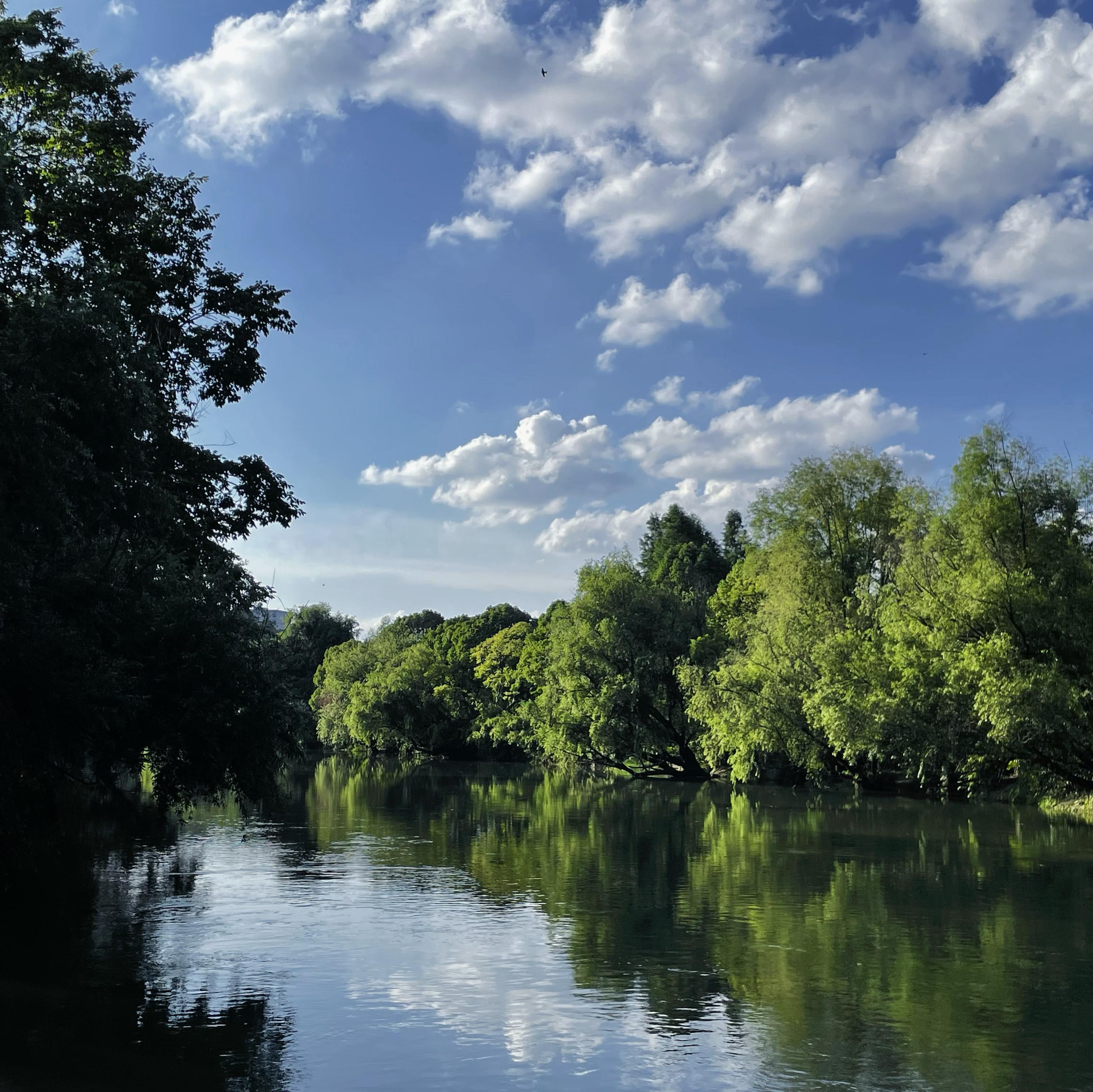 Enzalla-夏日蝉鸣（Wallwen remix）