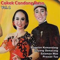 Cokek Condong Roso, Vol. 1