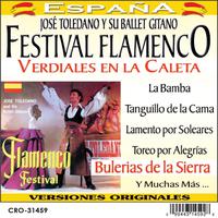 Festival Flamenco