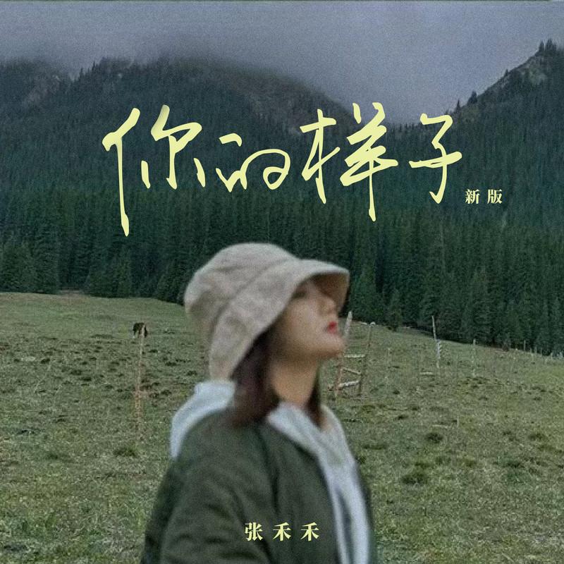 你的样子 (合唱版伴奏)封面
