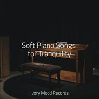 Soft Piano Songs for Tranquility