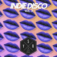 Indie Disco, Vol. 5