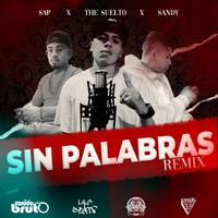 Sin Palabras Remix (feat. sandy Yepez & Sap La Melodia)