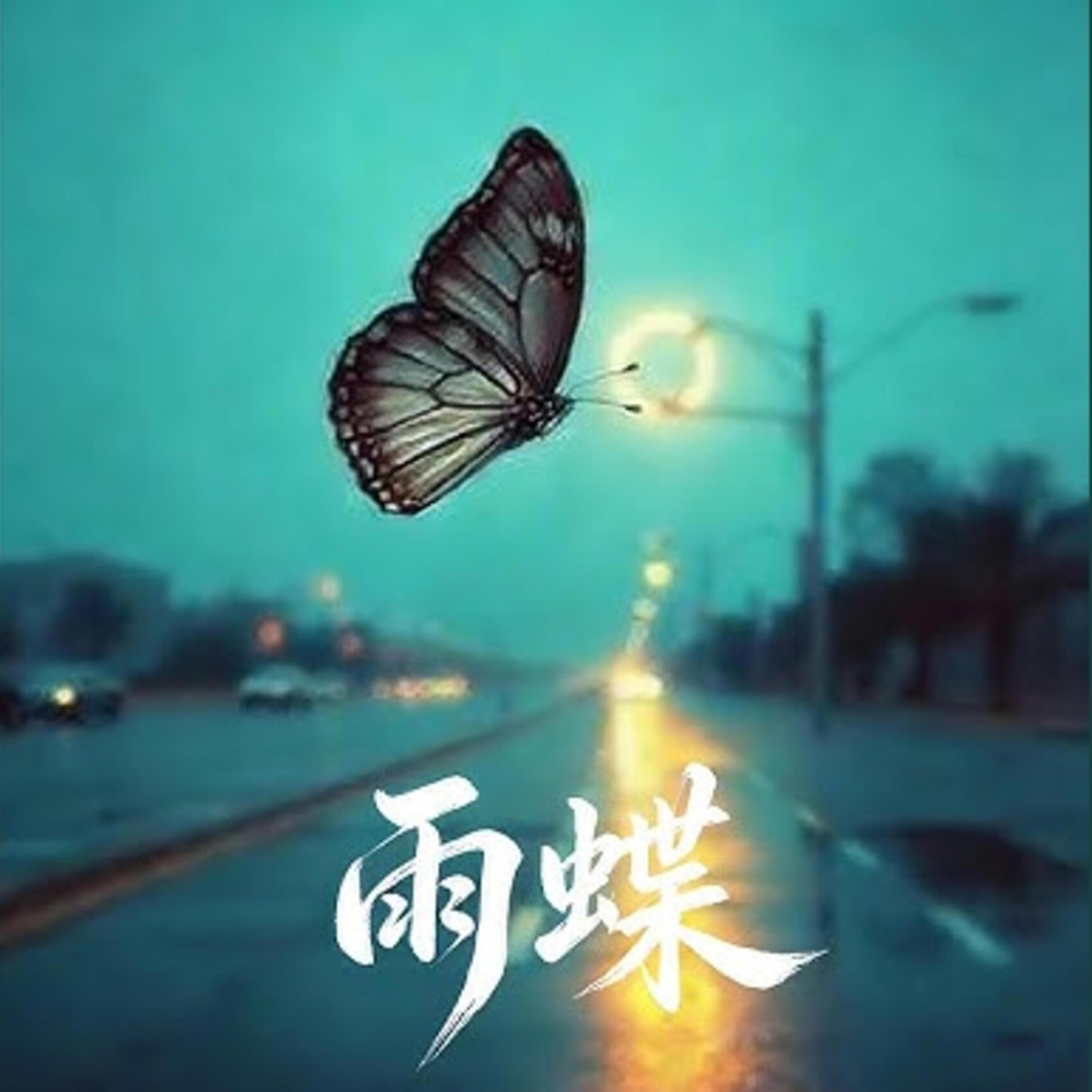 雨蝶 (R&B男版)封面