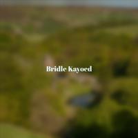 Bridle Kayoed