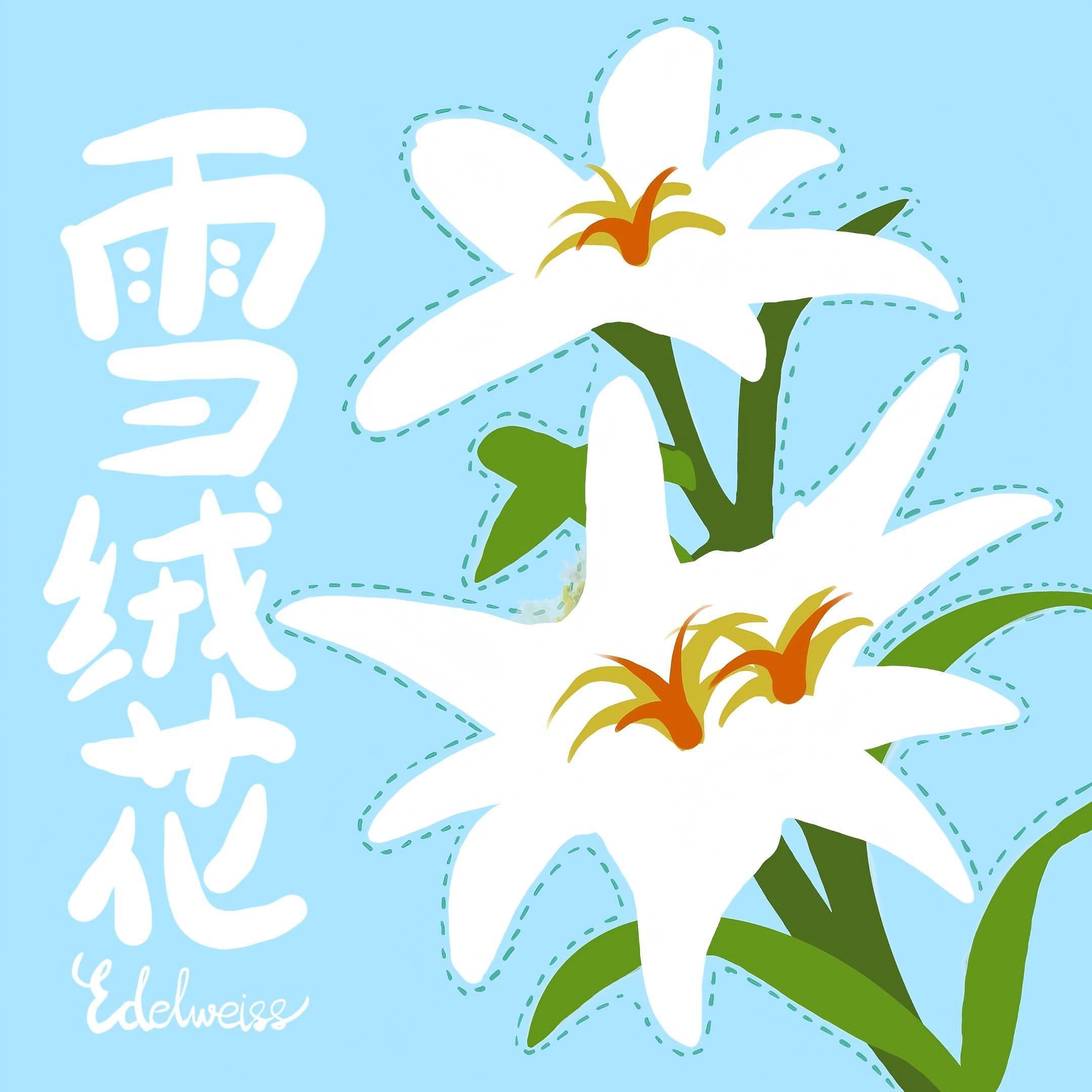 雪绒花 (哼版哄睡经典儿歌)封面