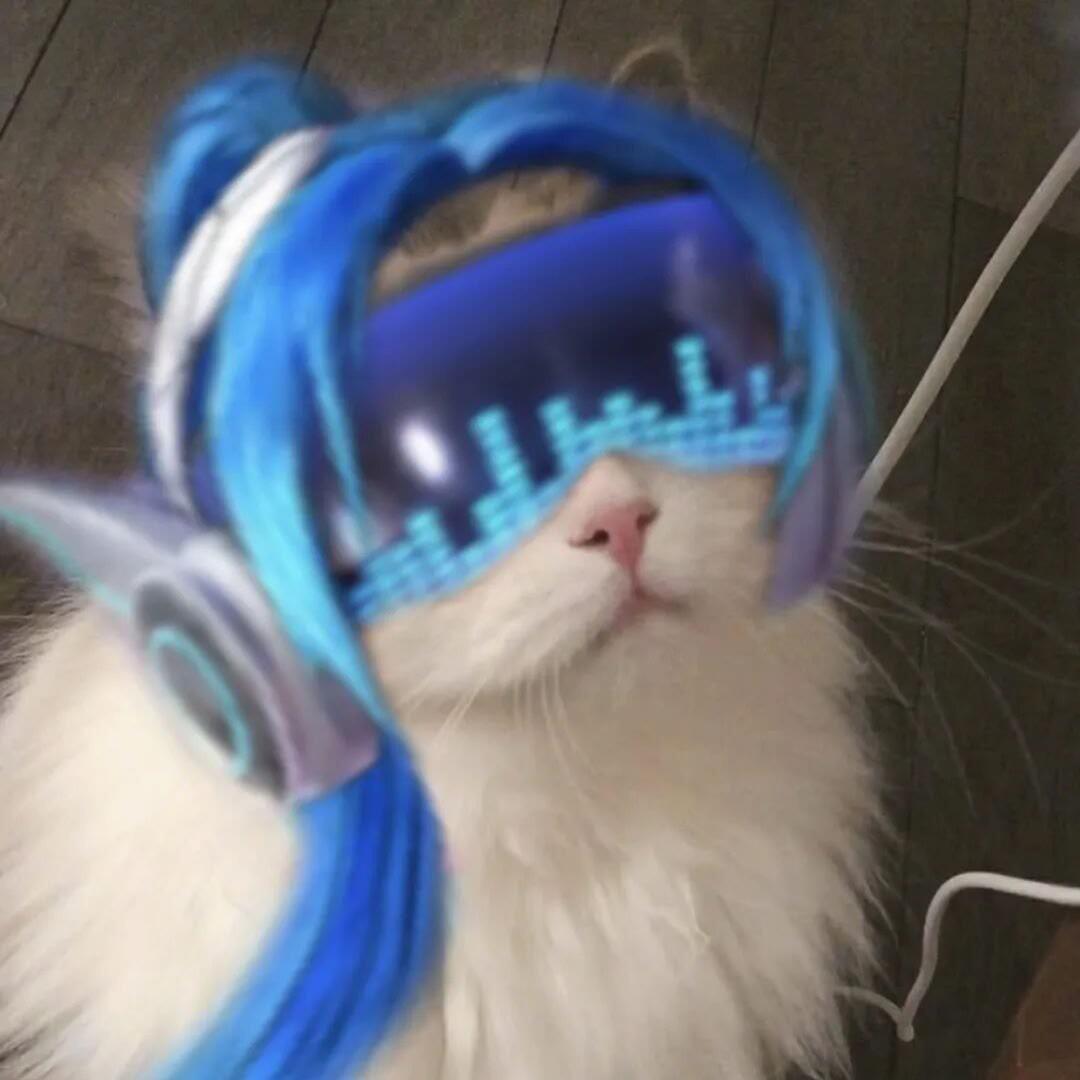 杨丞琳 雨爱+关键词（键名 remix）