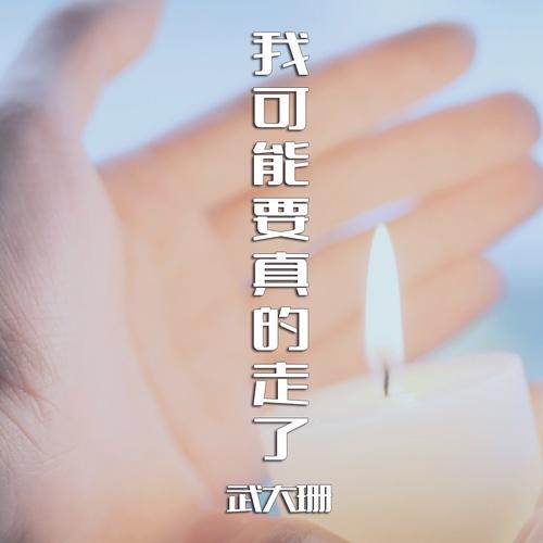抑郁患者 - 武大珊封面