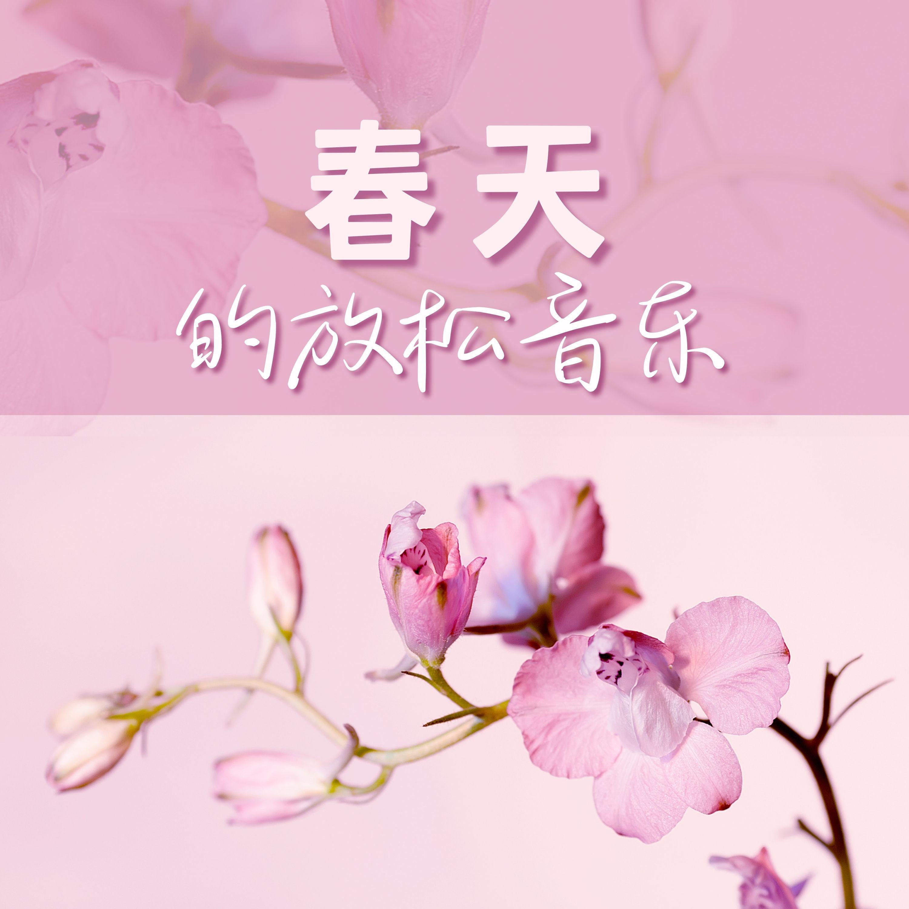 疗愈的声音封面