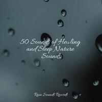 50 Sounds of Healing and Sleep Nature Sounds