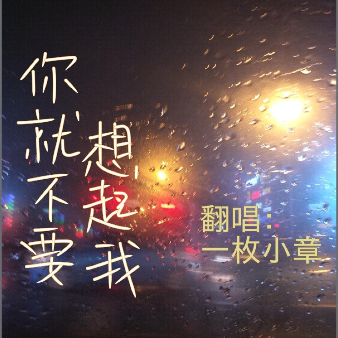 你就不要想起我