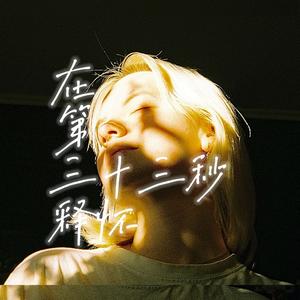 在第三十三秒释怀
