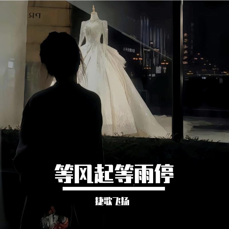等风起等雨停封面