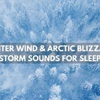 White Noize Dream Club