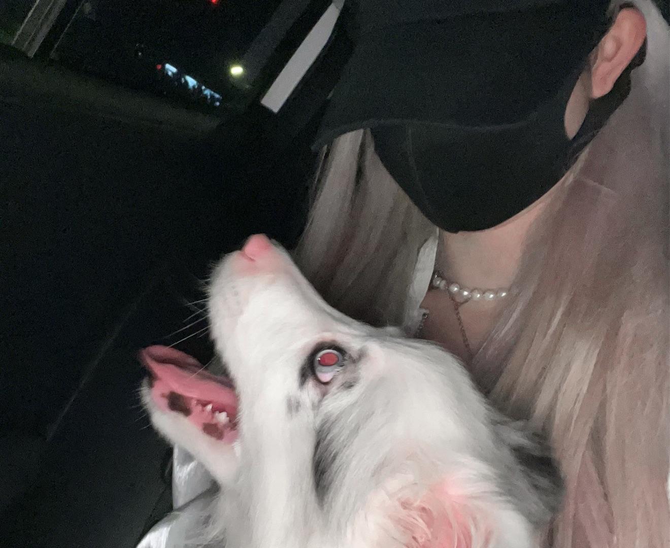 MuMu