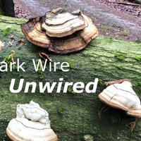 Mark Wire