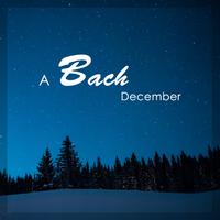 A Bach December