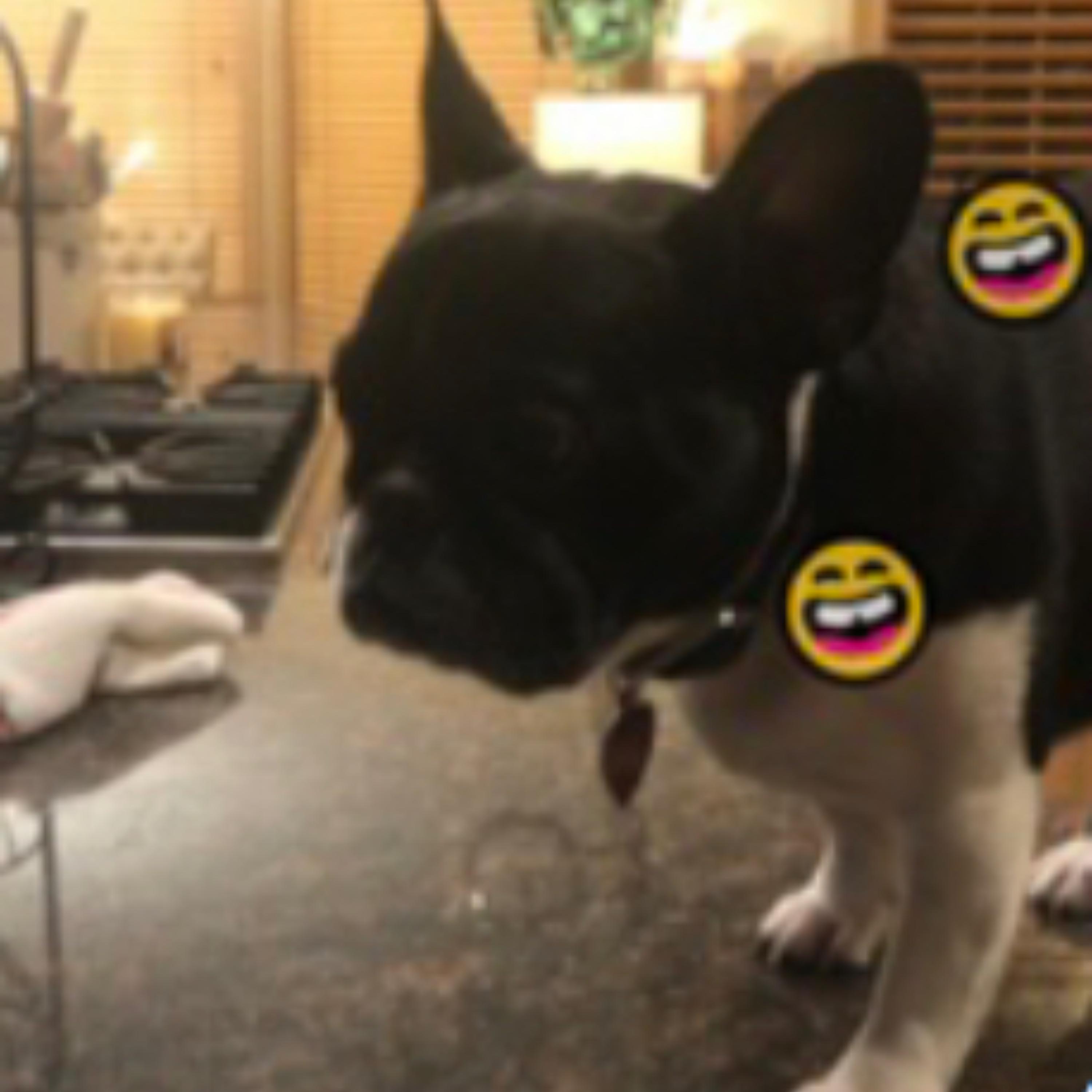 help!!! (experimental)