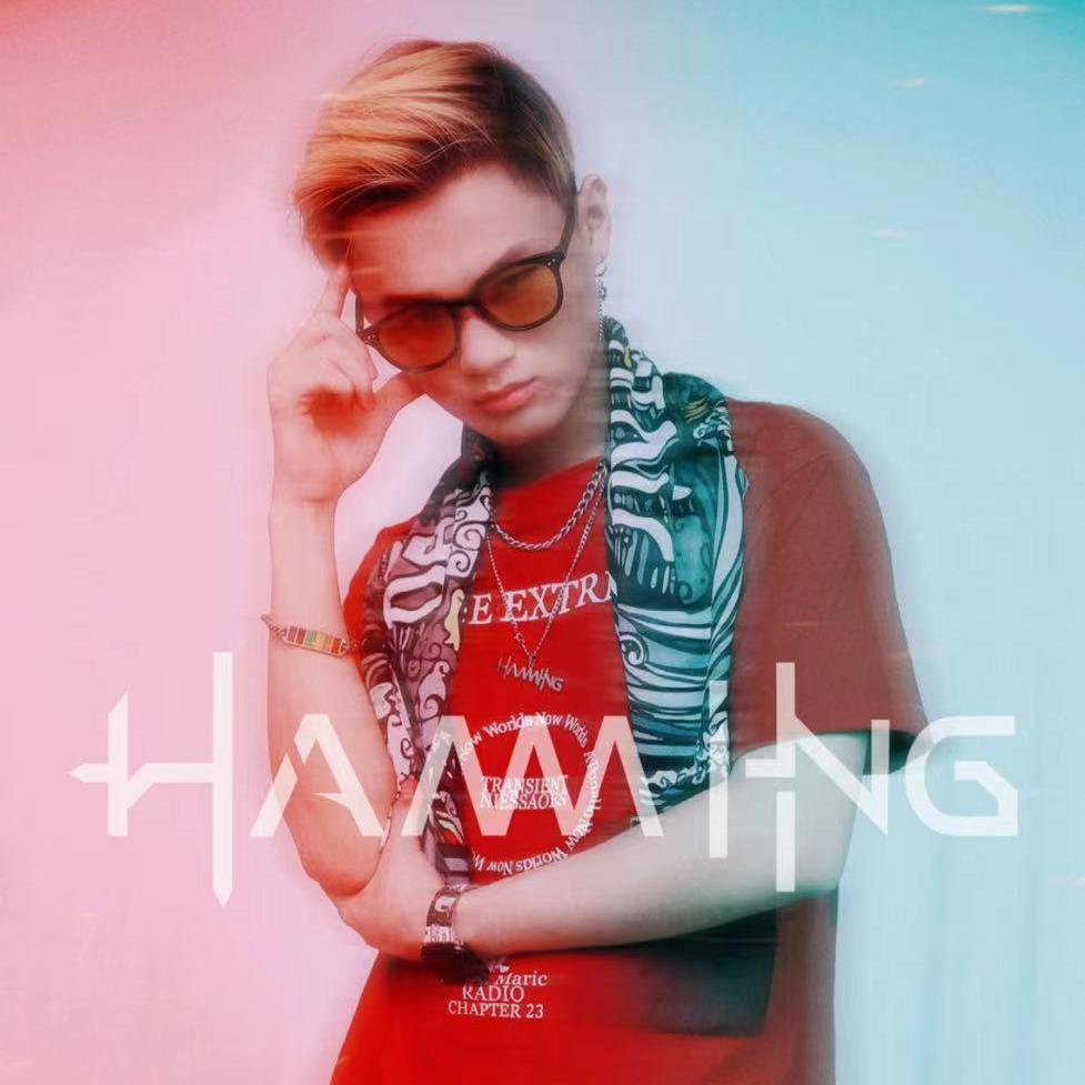 群星-潘玮柏-快乐崇拜（Hamming Bootleg）（Hamming remix）封面