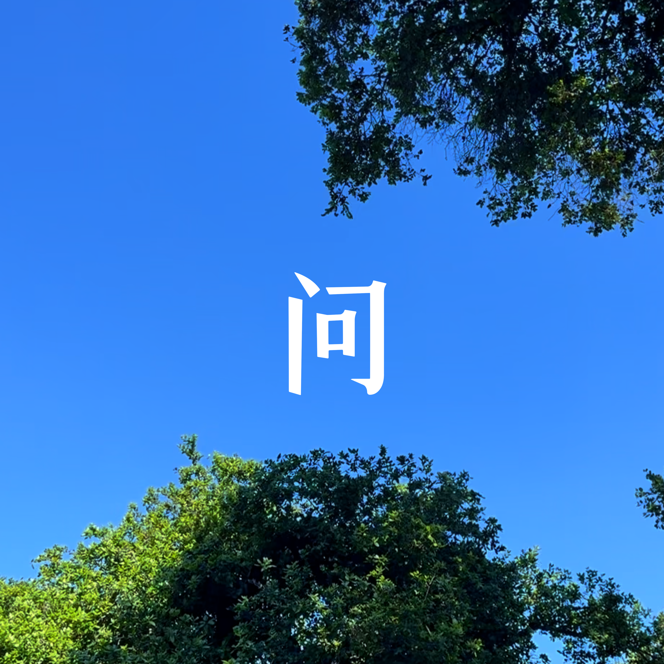 问