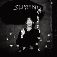 기억정지 (Slipping)