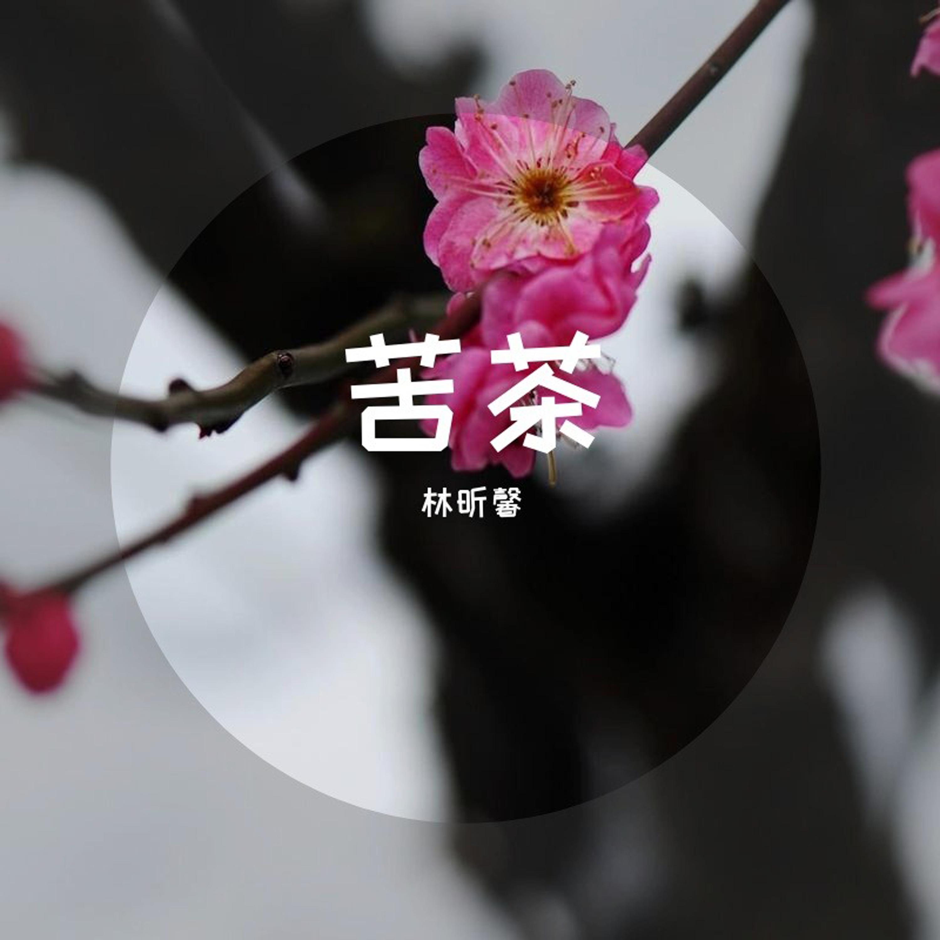 生生之轴封面