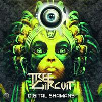 Digital Shamans