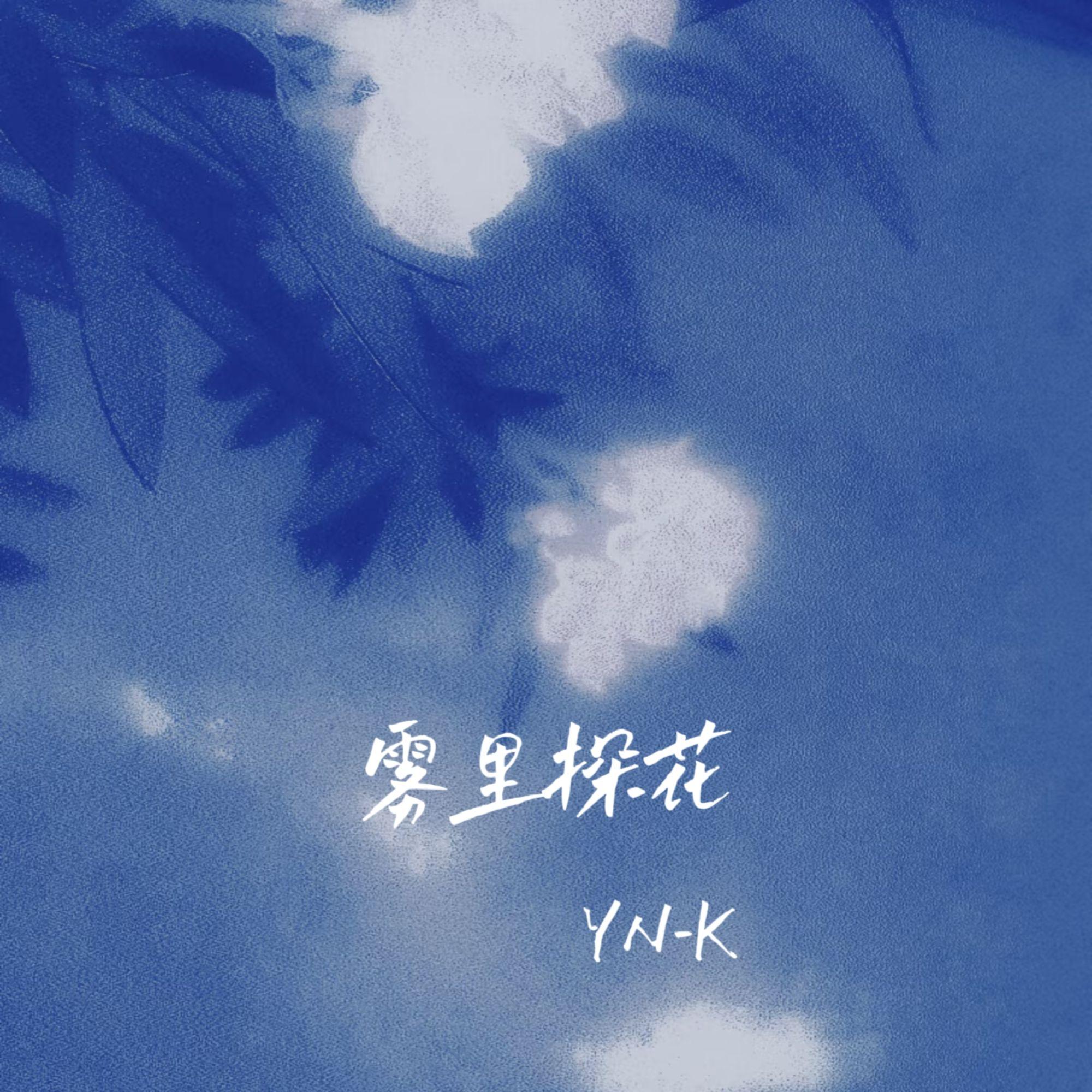 雾里探花（伴奏）封面