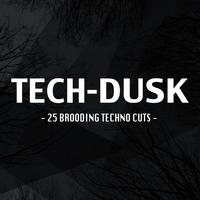 Tech-Dusk: 25 Brooding Techno Cuts