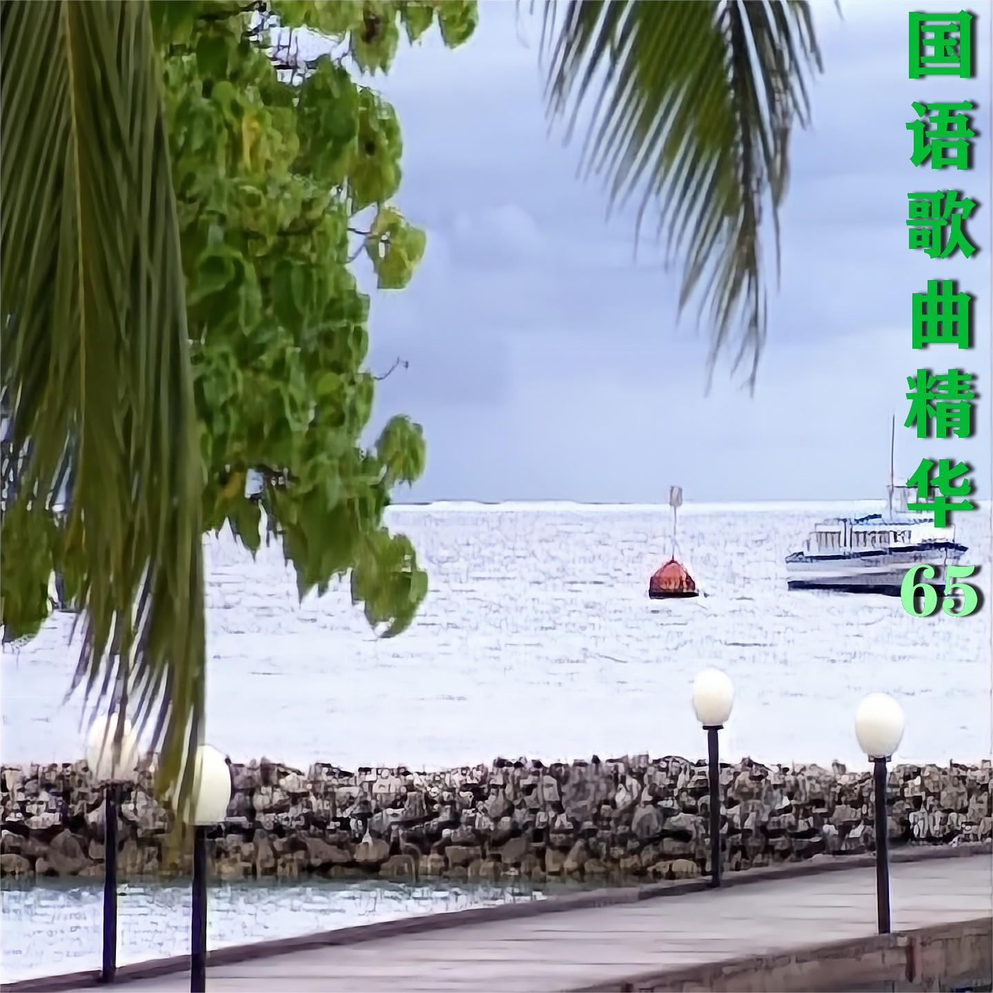 一辈子的错封面