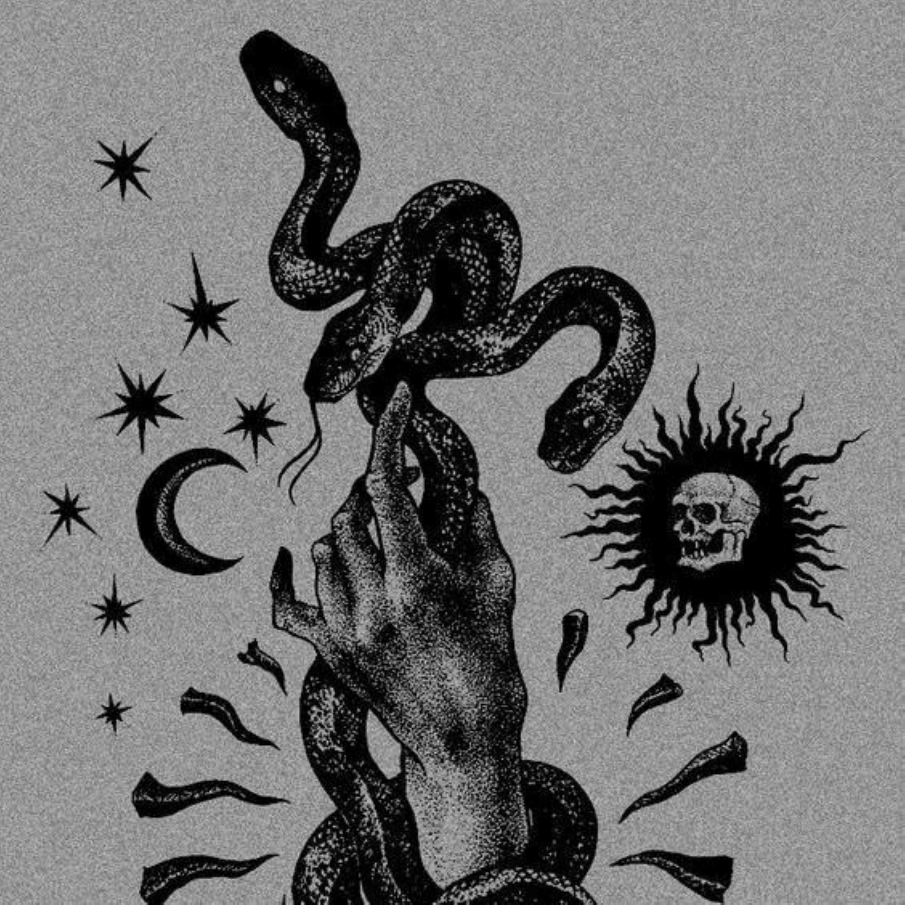 Three Snakes & a Star Abigail Rose 单曲 网易云音乐