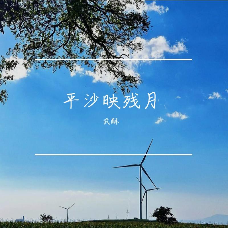 碎墨题新句 - 武酥封面