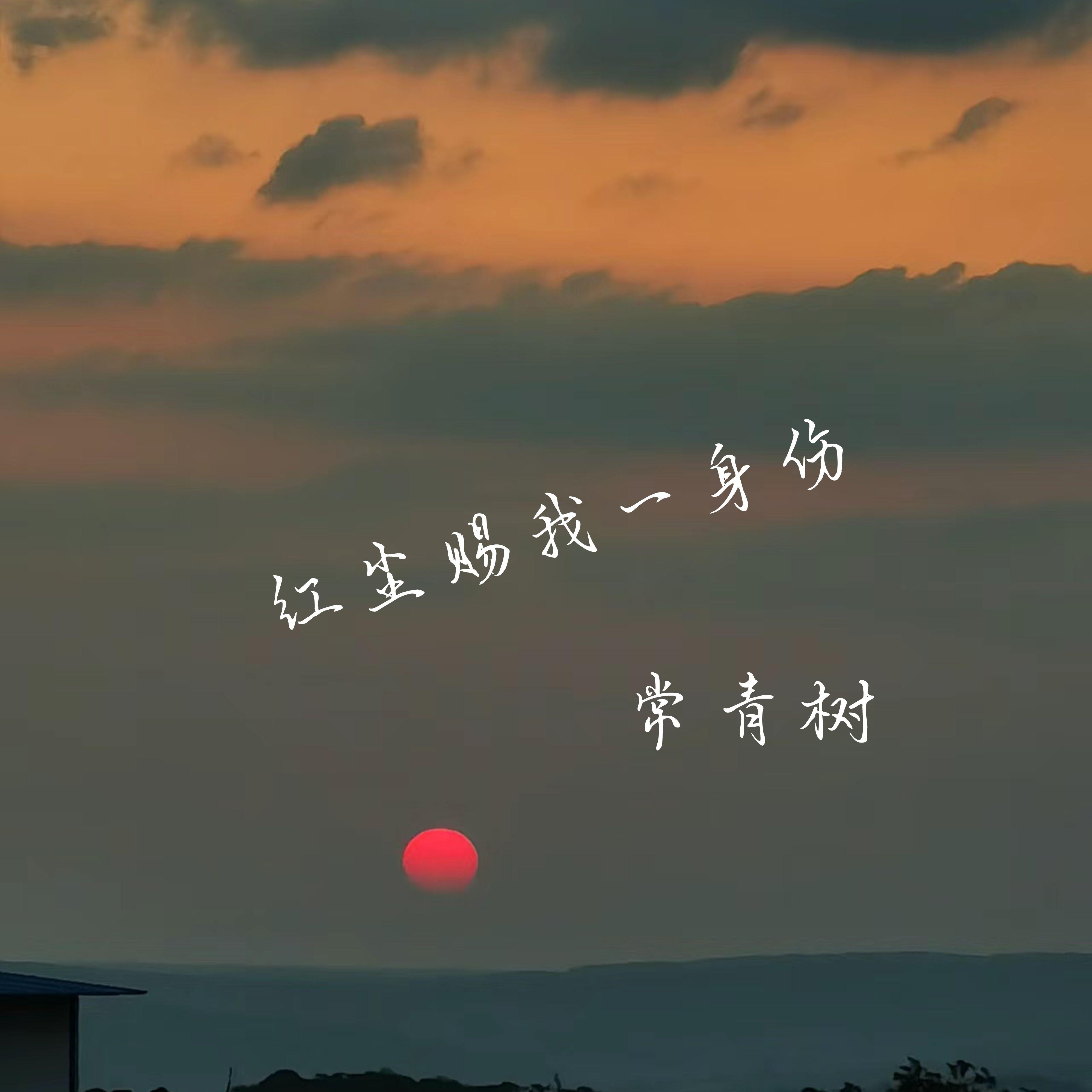 红尘赐我一身伤封面