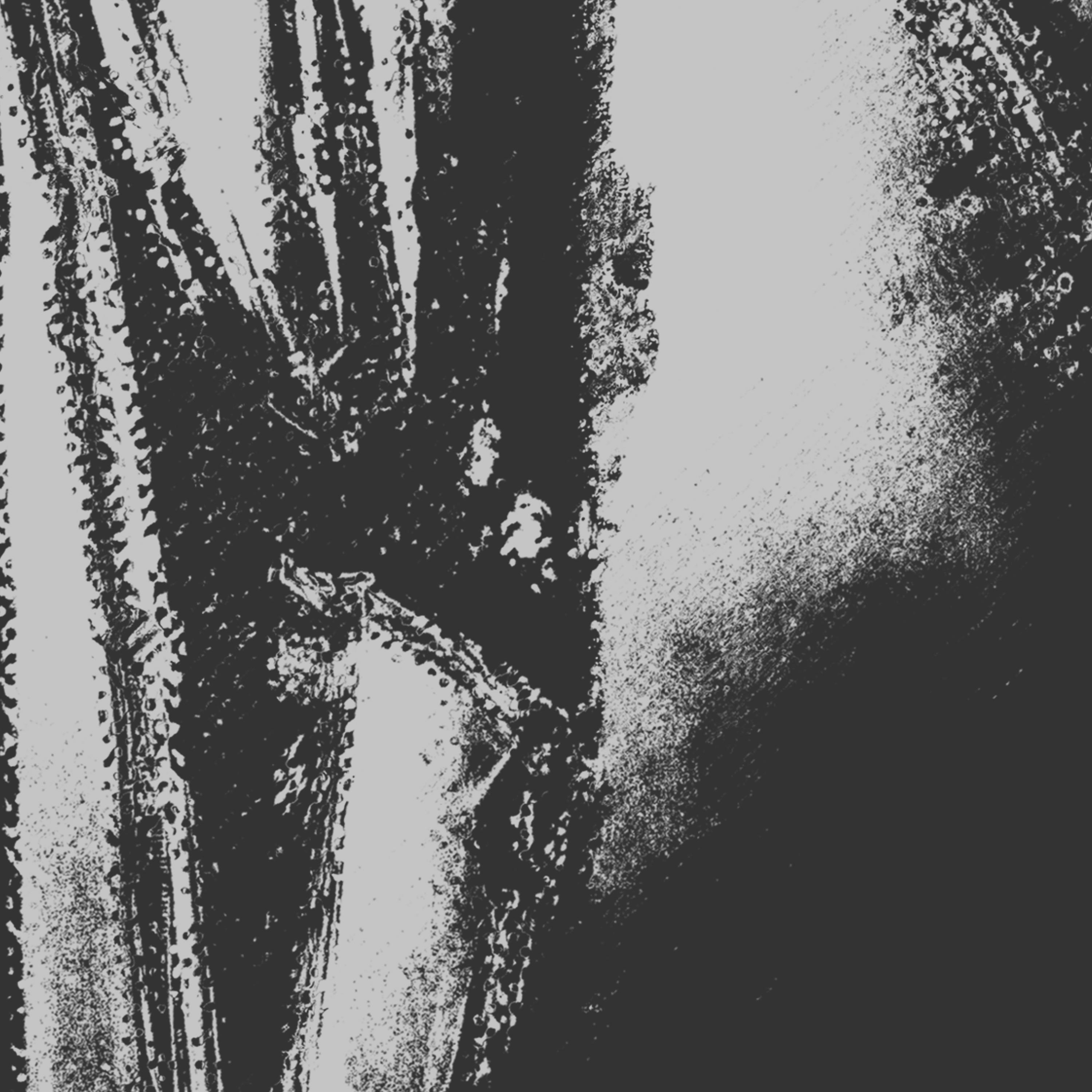 Rigid Lord_Cesco_Rigid Lord | 在线播放_Rigid Lord歌词_Rigid Lord下载 | 网易云音乐